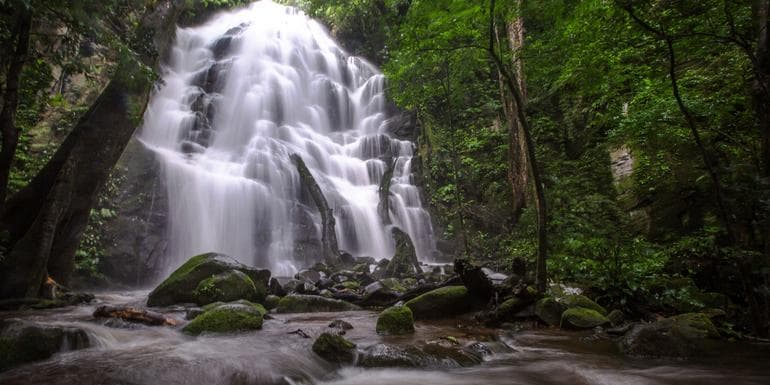 Costa Rica: Rio Celeste & Rincon de la Vieja image