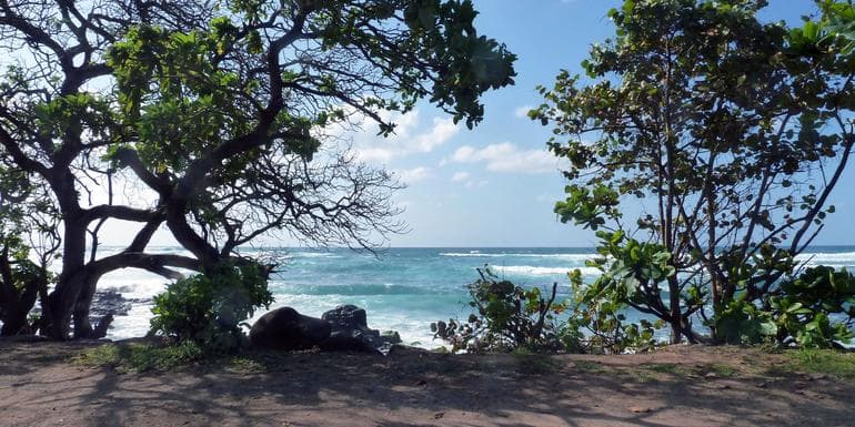 Hawaiian Adventure: Beachin' & Boardin' image