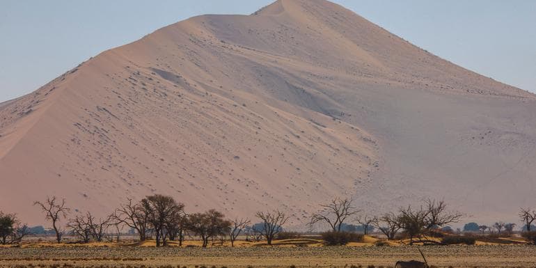 Best of Cape Town, Kruger & Namibia image