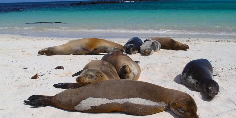 Galápagos — West & Central Islands aboard the Eden image