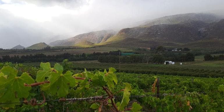 South Africa: Cape Town & The Garden Route image