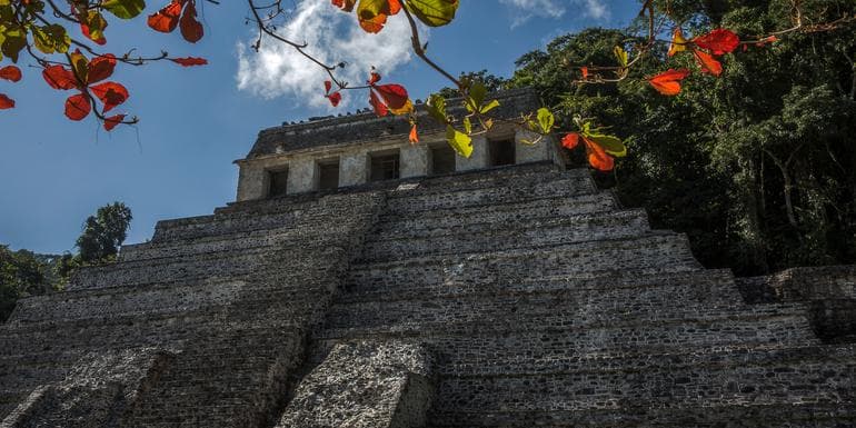 Mayan Trail image