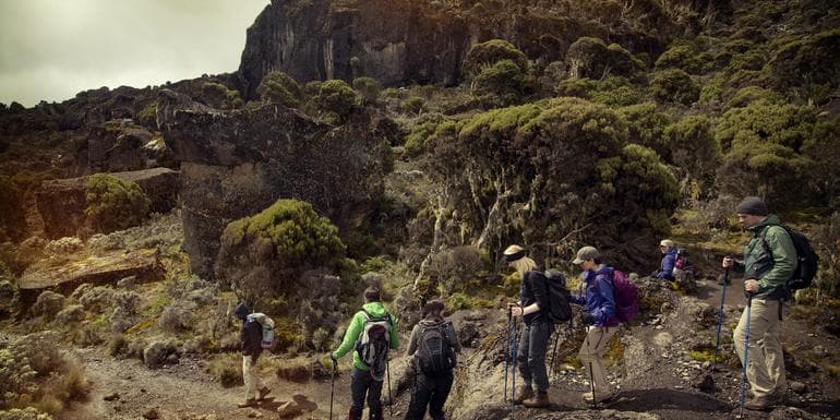 Mt Kilimanjaro Trek - Machame Route (8 Days) image