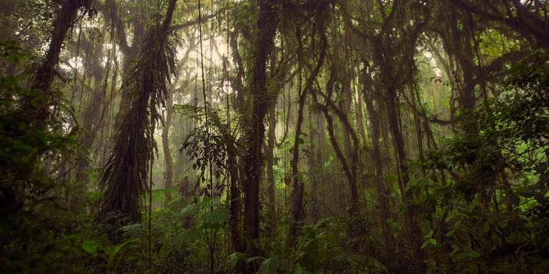 Journeys: Highlights of Costa Rica image