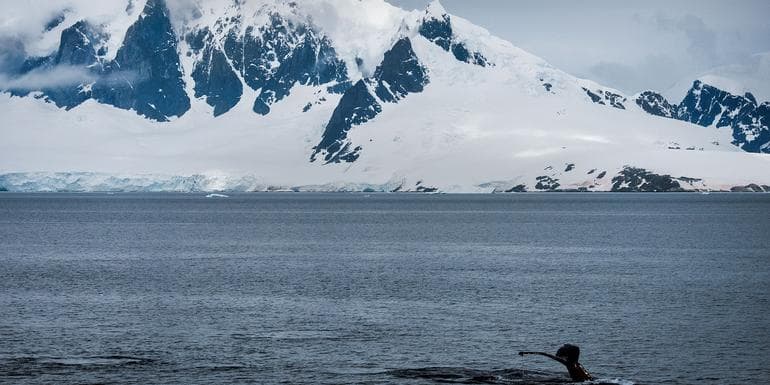 Journey to the Antarctic Peninsula image