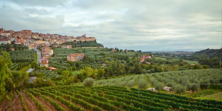 Tuscany to Cinque Terre: Wines, Villages & Unforgettable Walks image