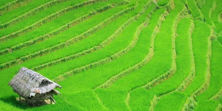 Timeless Vietnam image
