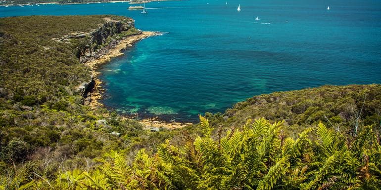 Sydney Roundtrip: Australia's Greatest Hits image