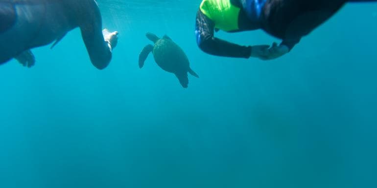 Galápagos Multisport Land-Only image