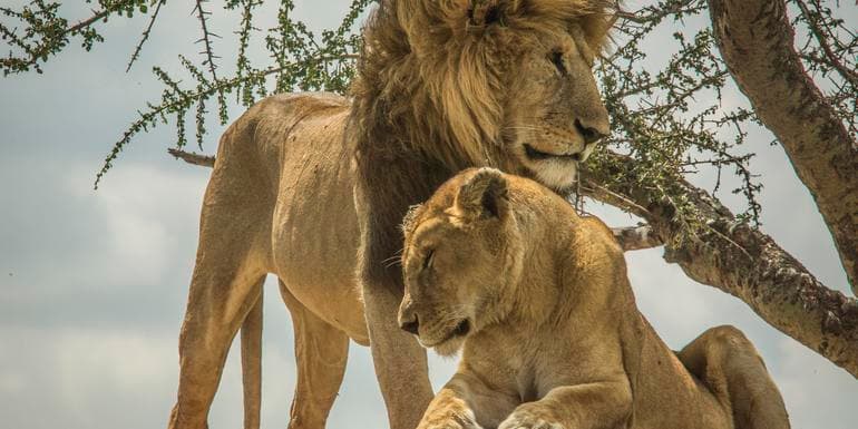 Kenya & Tanzania Overland image