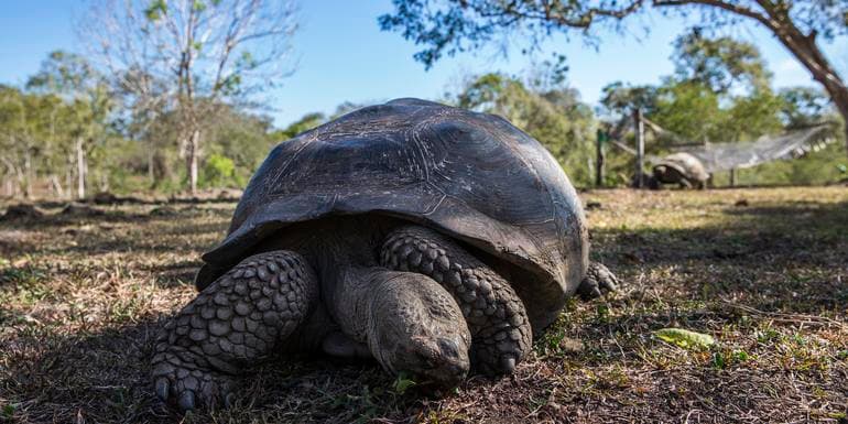 Galápagos — South & Central Islands aboard the Xavier III image