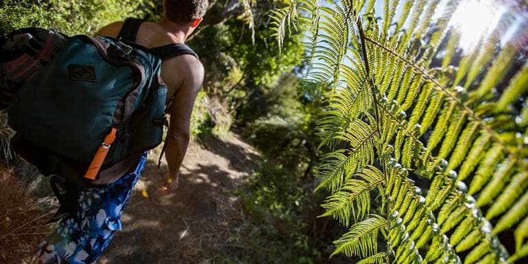 Australia And New Zealand: Bushwalks & Beaches image