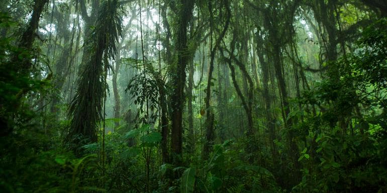 Costa Rica & Panama Quest image