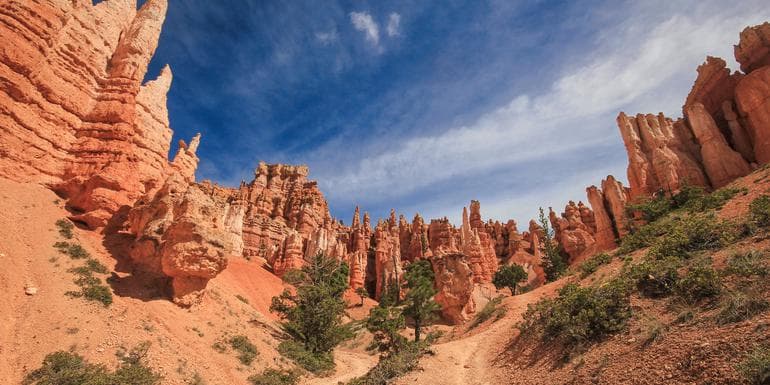 USA Road Trip: Big Cities & West Coast Parks image