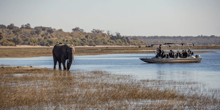 Complete Botswana: National Parks & Delta Wildlife image