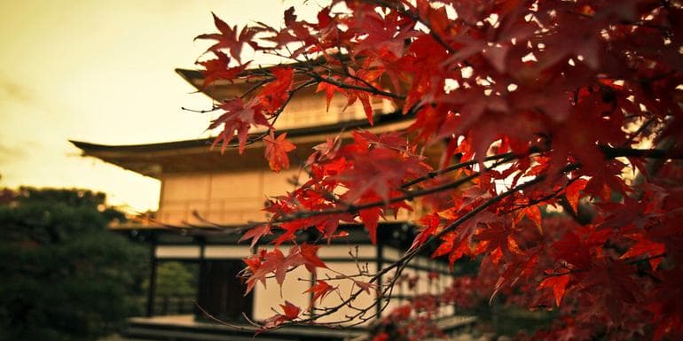 Highlights of East Asia: Japan, South Korea, and China image