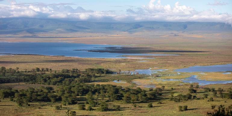 Kenya & Tanzania: Maasai Mara, Serengeti & Zanzibar Highlights image
