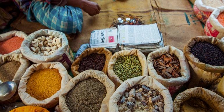 Northern India: Riverside Safaris, Ancient Fortresses & The Taj Mahal image