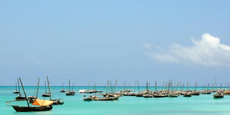 Zanzibar Independent Adventure image