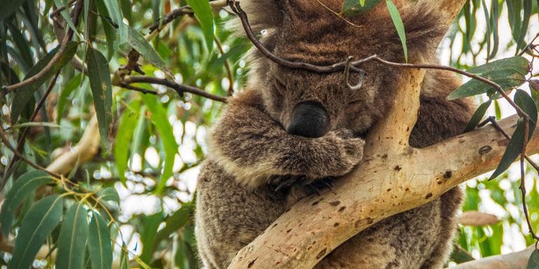 Highlights of Australia and New Zealand image