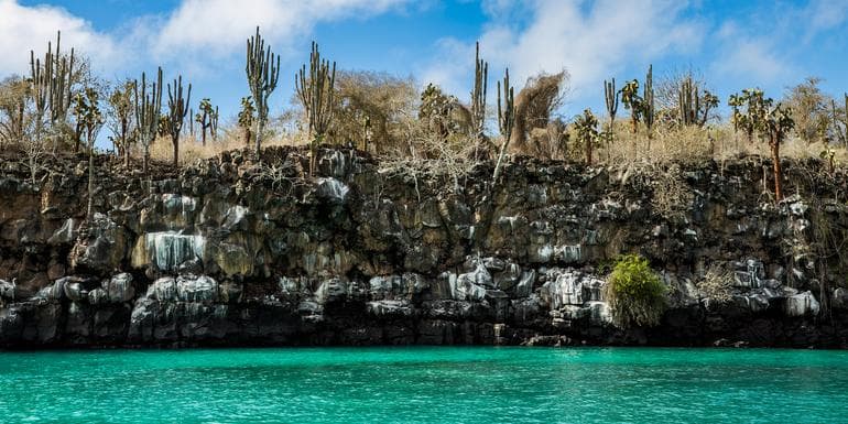 Galápagos — North & Central Islands aboard the Evolution image