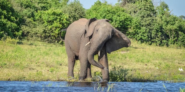 Botswana & Victoria Falls Adventure image