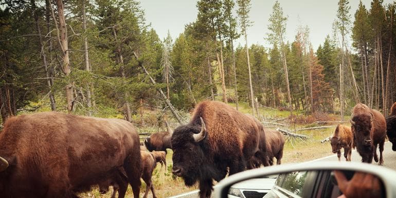 National Parks of the Northwest US image