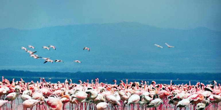 Kenya Overland Adventure image