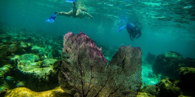 Journeys: Explore Belize image