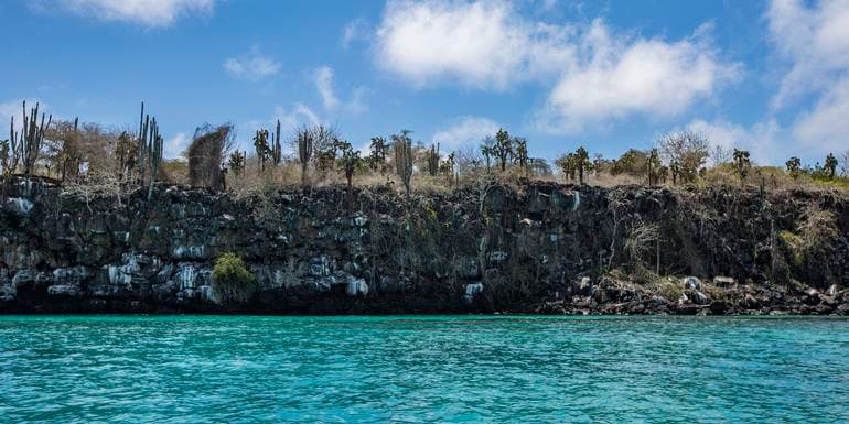 Galápagos — South & East Islands aboard the Yolita image