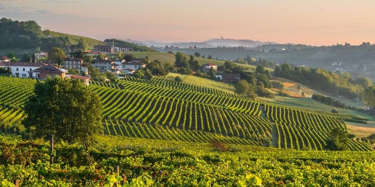 Walking Piedmont and the Barolo Wine Region image