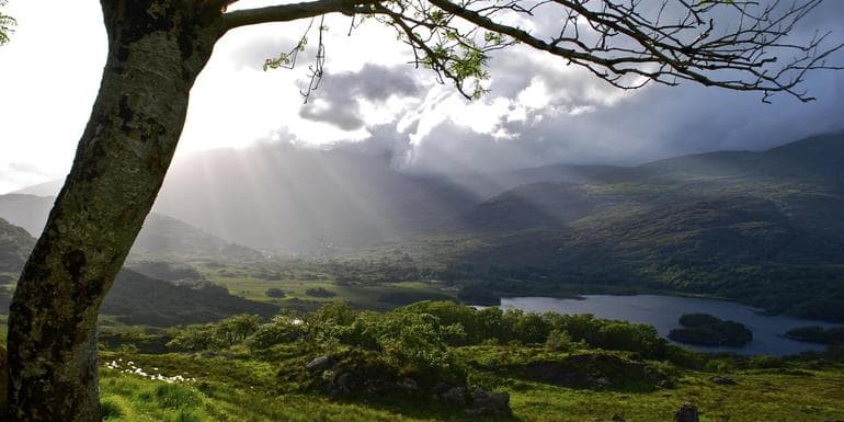 Ireland: Coastal Hikes, The Beara Peninsula & Killarney National Park image