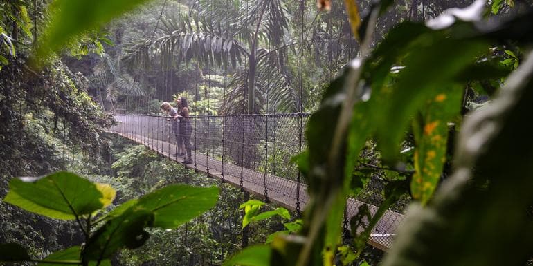 The Best of Costa Rica Independent Adventure image