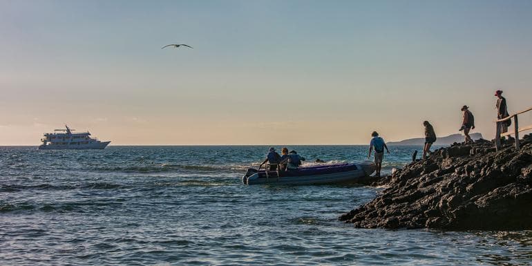 Galápagos — South & East Islands aboard the Eden image