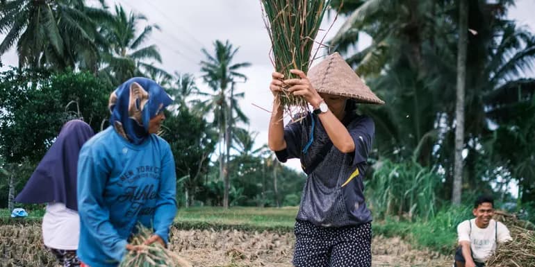 Lombok & Gili Adventure: Culture, Peaks & Paradise image