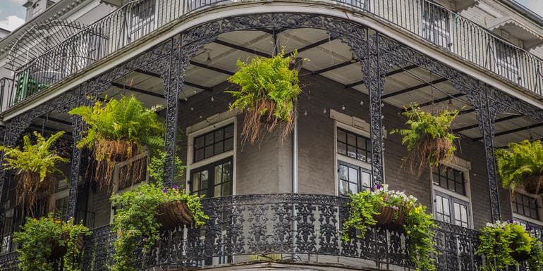Highlights of the Deep South image