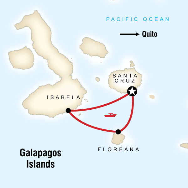 Land Galápagos in Style Extension image