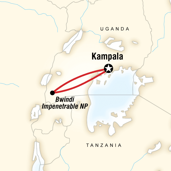 Gorilla Trek Independent Adventure image
