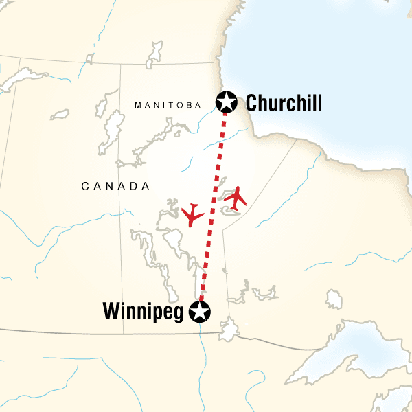 Churchill Polar Bears image