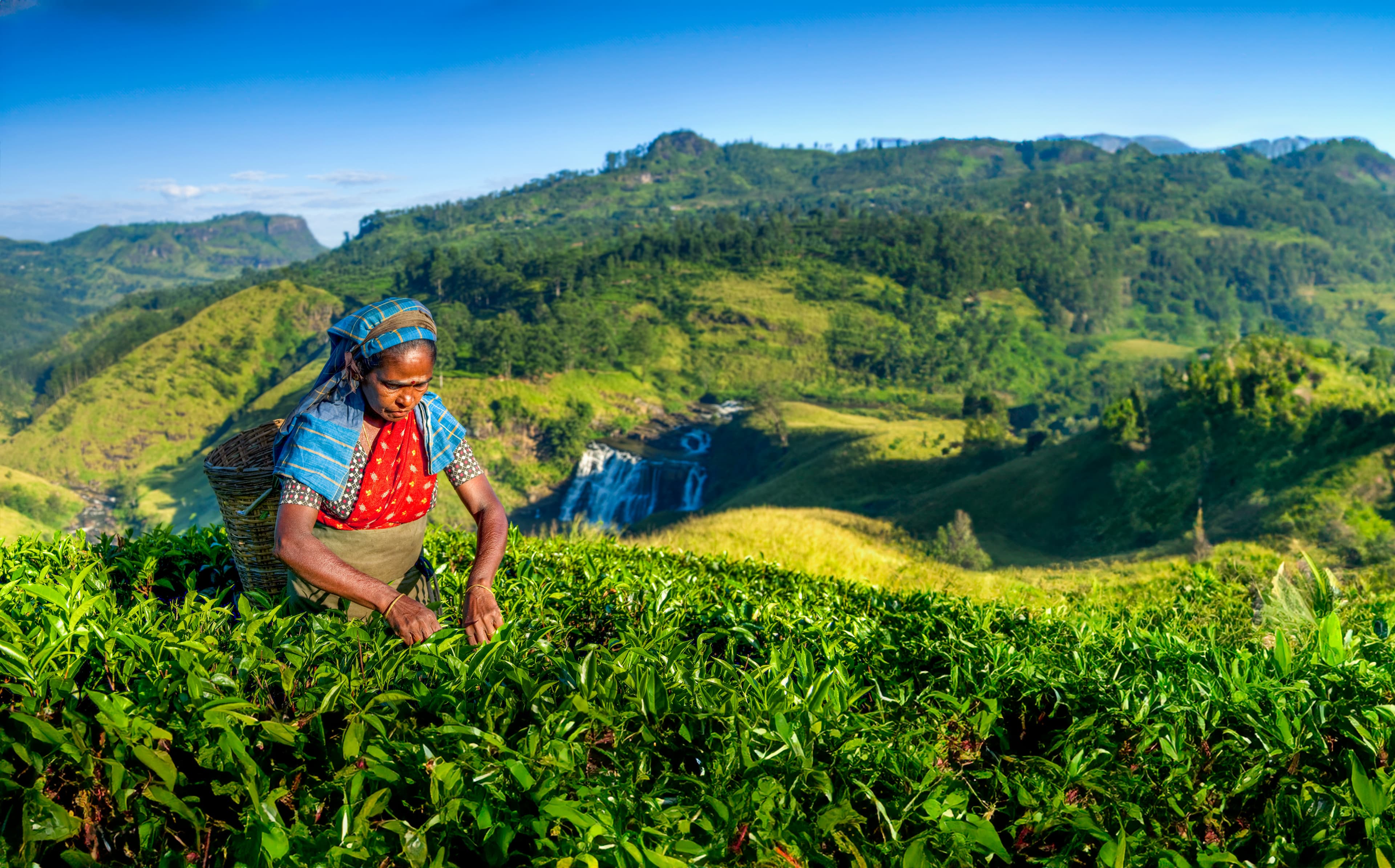 Discover Sri Lanka