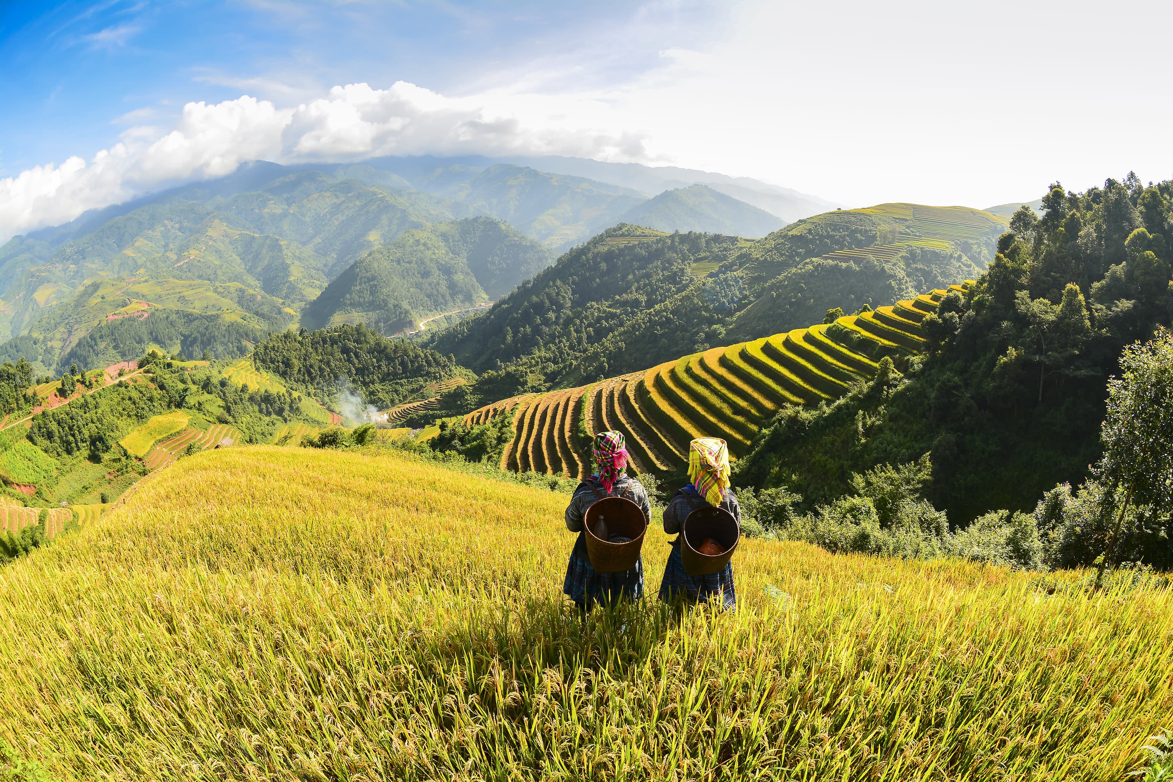 Hidden Vietnam: Sapa & Beyond