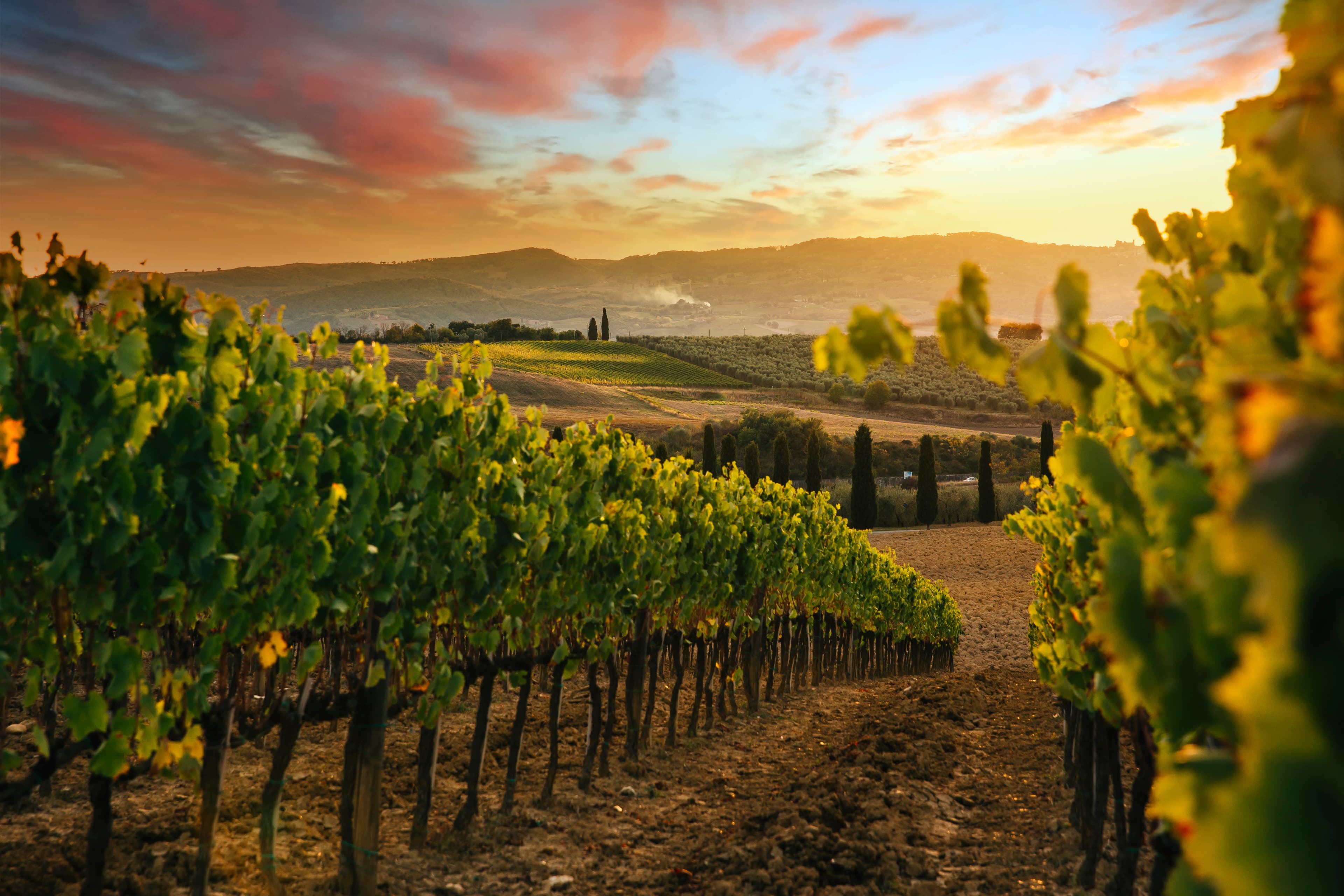 Discover Tuscany: Culture, Food & Wine