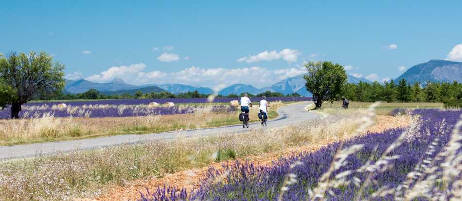 Provence Backroads