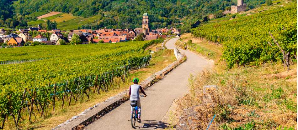 Rhine Valley Cycle
