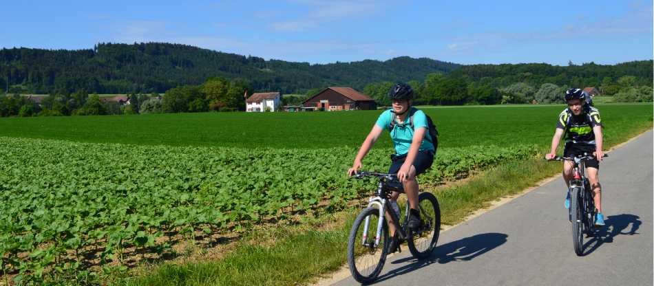 Lake Constance Circuit by Bike - 5 days