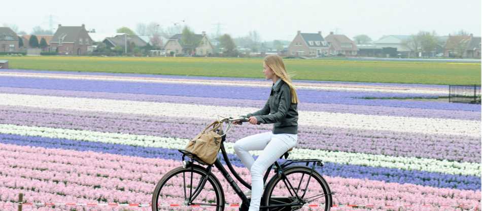 Tulip Tour Bike & Barge - Deluxe