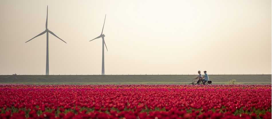 Amsterdam to Brussels by Bike
