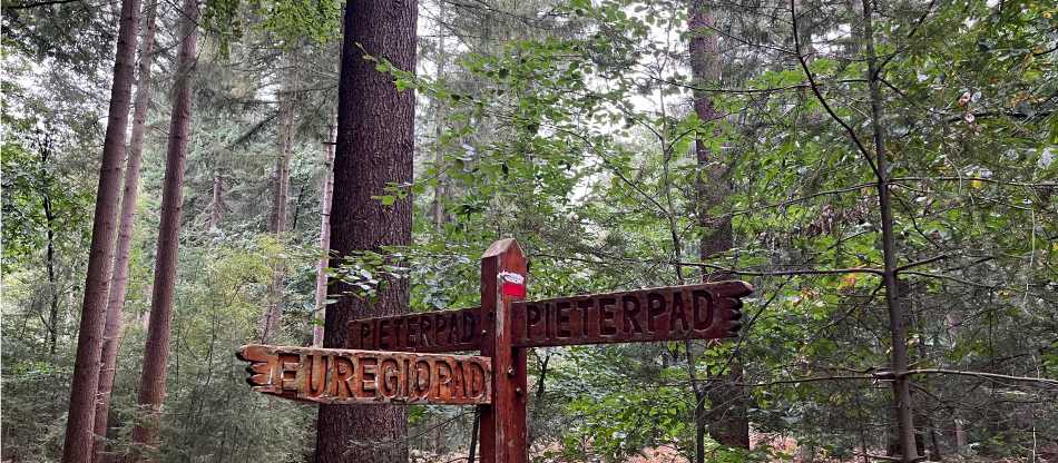 Pieterpad Camino Trail: Vorden to Vierlingsbeek