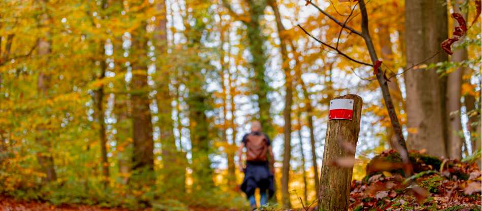 Pieterpad Camino Trail: Vierlingsbeek to Maastricht