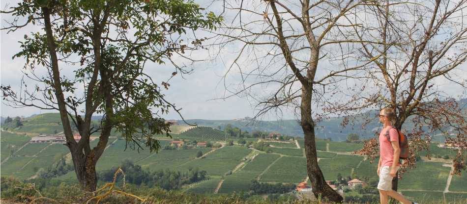 Piedmont Highlights Walk